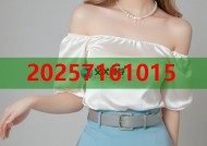 南齐黑乌沙翡翠改口料精选高质细糯底料展示
