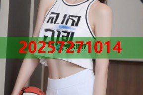 周黑鸭酱香味料包秘制配方轻松复刻经典卤味