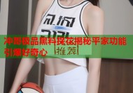 冲哥极品黑料探花揭秘平家功能引爆好奇心